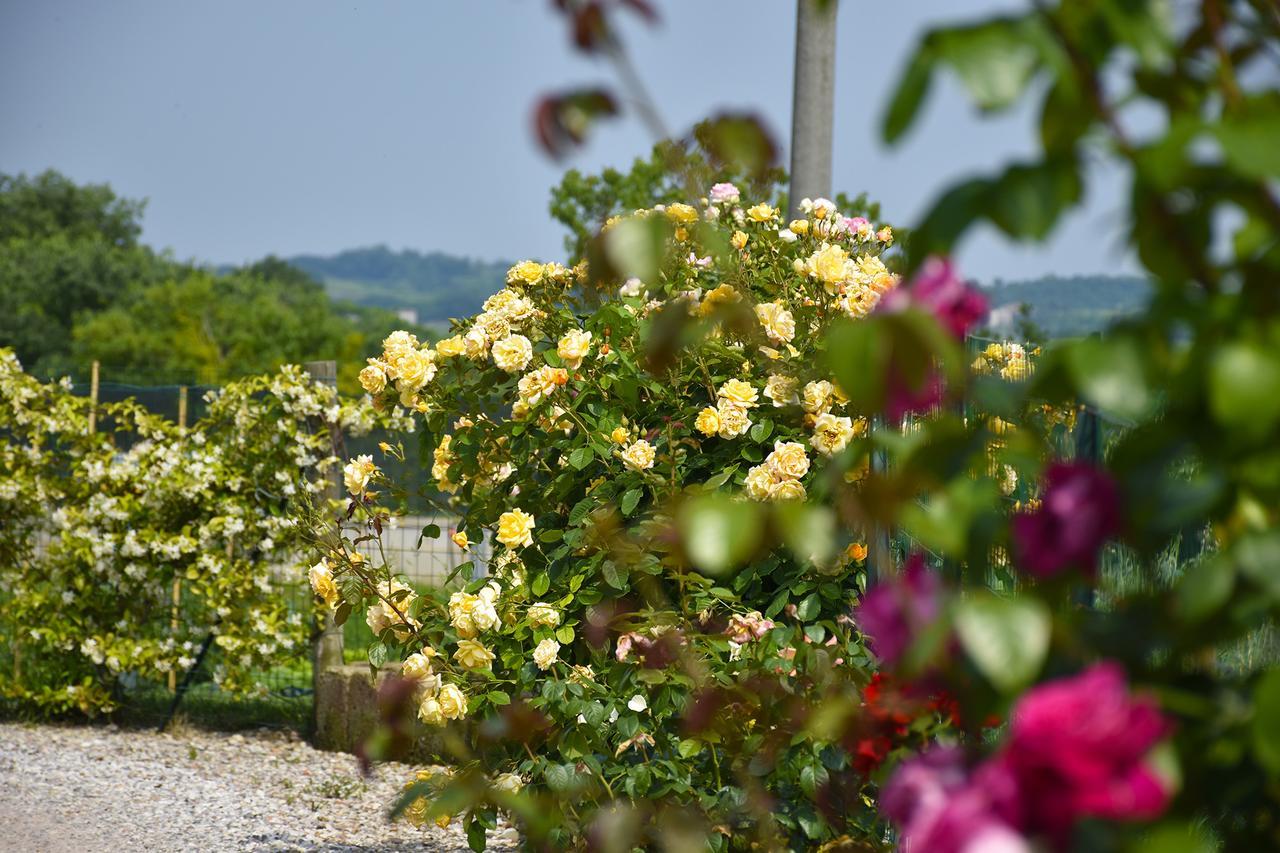 Agriturismo Panorama Salionze Eksteriør billede